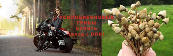 МДПВ Хадыженск
