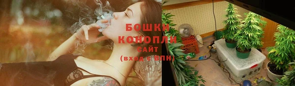 соль ск Чекалин