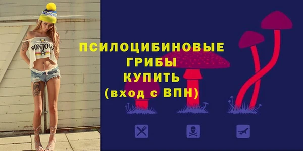 соль ск Чекалин