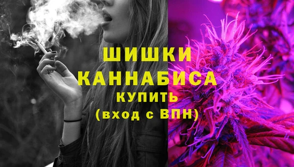гашик Чердынь