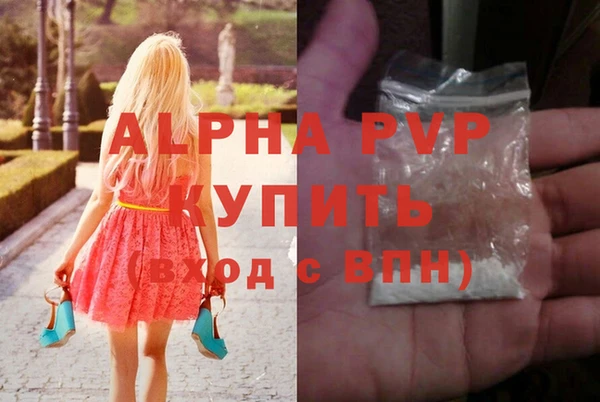 гашик Чердынь
