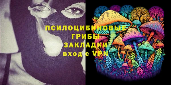 гашик Чердынь