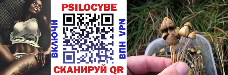Псилоцибиновые грибы Psilocybe Иноземцево