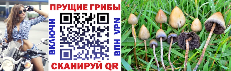 Галлюциногенные грибы мицелий  Иноземцево 